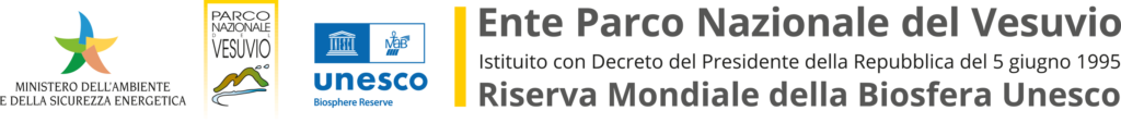 I: Comunicato stampa: Il Gruppo PPE visita il Parco del Vesuvio ed il Real Osservatorio Vesuviano nell’ambito delle Giornate Studio e dell’Università Estiva a Napoli.
