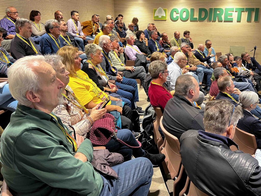 Comunicato stampa | COLDIRETTI CUNEO: NELLA GRANDA +20% DI CASTAGNETI IN 10 ANNI E NUOVE OPPORTUNITÀ COMMERCIALI