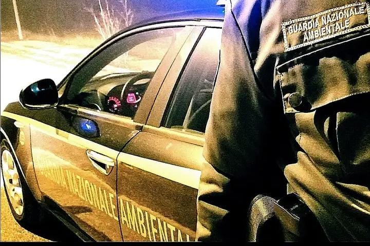 Pitbull aggredisce una signora a Terni. La Guardia Nazionale chiede misure di intervento urgenti .