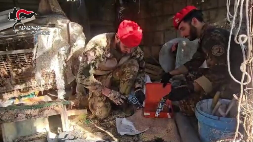 MONTEBELLO JONICO (RC). MAXI-SEQUESTRO DI ARMI E DROGA DA PARTE DEI CARABINIERI DELLA COMPAGNIA DI MELITO PORTO SALVO (RC)