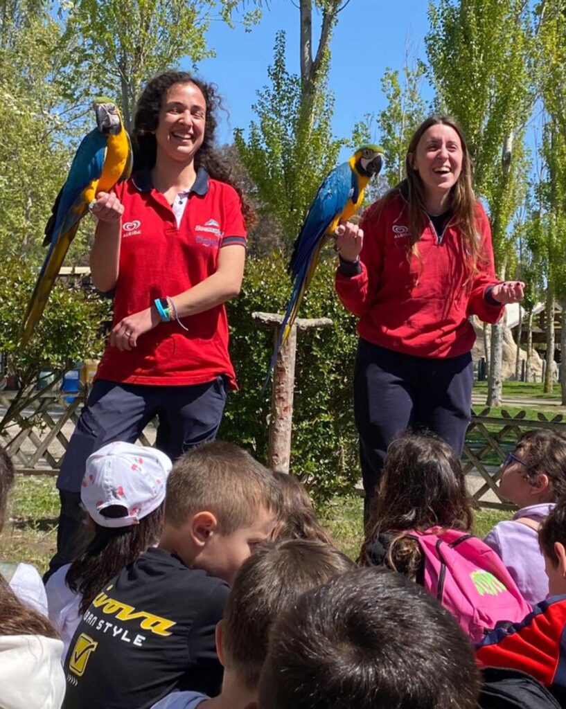 Un viaggio immersivo insieme ai veterinari, biologi, addestratori del parco Zoomarine per educare i bambini al rispetto e alla conoscenza degli animali, grazie alla clinica di Primo Soccorso creata dalla Fondazione Zoomarine. .