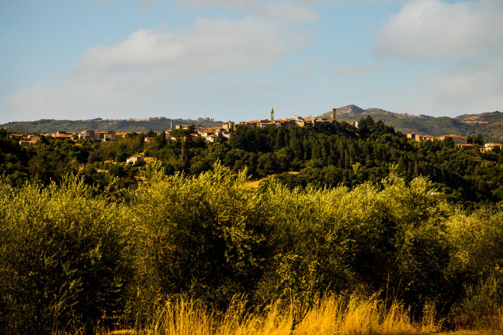 Castel del Piano tra i vincitori del bando Toscana Diffusa: in arrivo un evento natalizio dedicato a sa-pori, cultura e tradizioni locali