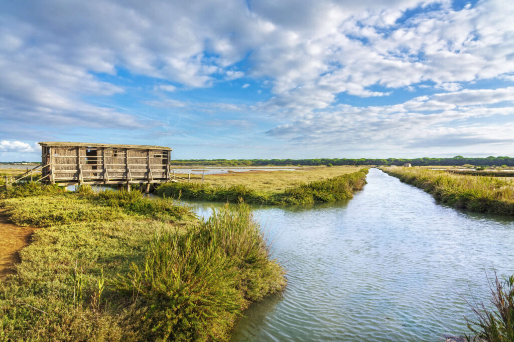 Il comune di Castiglione della Pescaia dalla parte della Diaccia Botrona: la tutela al primo posto