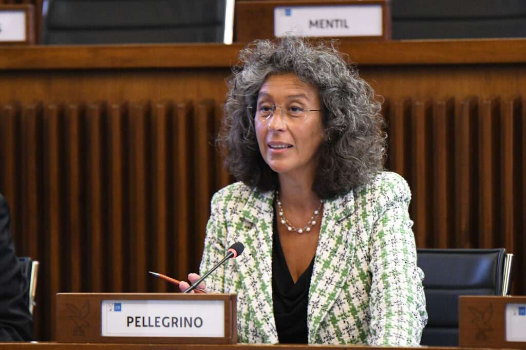 (ACON) SCUOLA. PELLEGRINO (AVS): BENE DEPAVIMENTAZIONE PIAZZALI SCOLASTICI