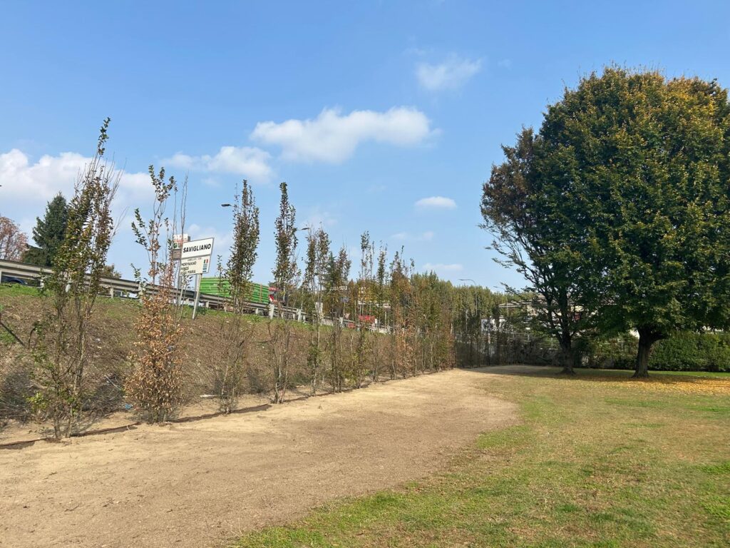 Banca CRS per il Verde Urbano: al fianco del Comune di Savigliano  per la riqualificazione del Parco della Piscina