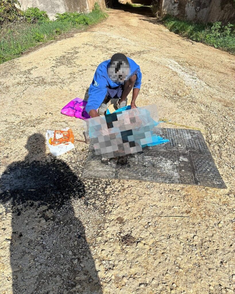 SEZZE (LATINA), UCCIDE E SEZIONA UN CANE. ON. BRAMBILLA: “CRIMINE RACCAPRICCIANTE, SI APPLICHI CON RIGORE LA LEGGE BRAMBILLA”