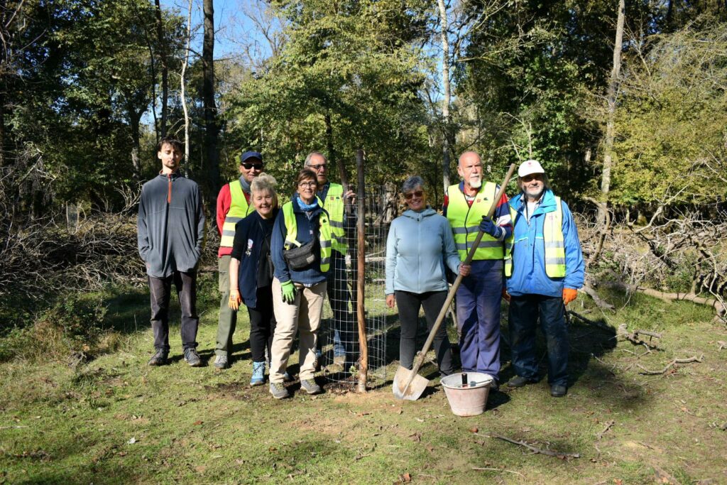 I volontari del Parco piantano 40 farnie