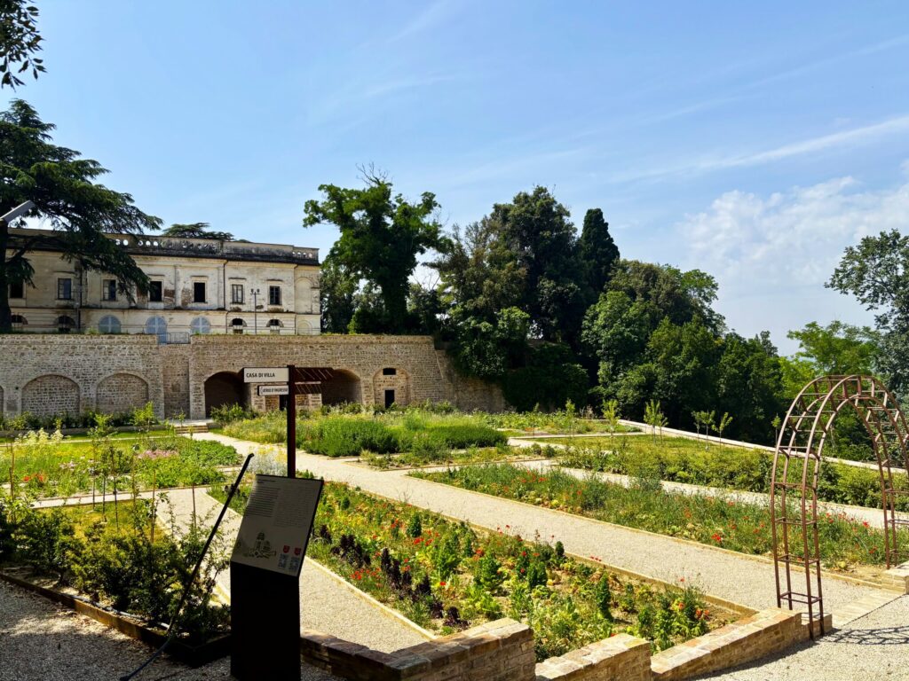 A Treia la Prima Mostra Pomologica Marchigiana – Festival dei Custodi della Biodiversità Agraria