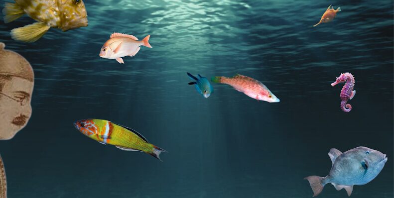 “Santorre in fondo al mare” e i pesci del Mediterraneo