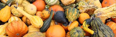 Halloween: Coldiretti, in Basilicata crescono produzione e consumi