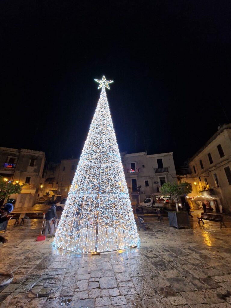 IL COMUNE COMUNICA – allestimento catene e installazioni luminose: continuano le operazioni di montaggio in via Manzoni, corso Vittorio Emanuele e in diversi quartieri della città