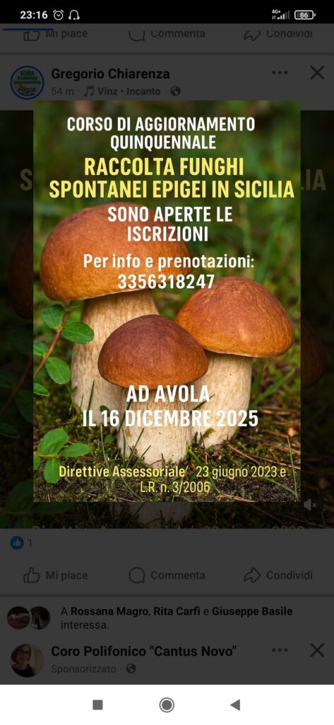 Cs. n.519 Corso quinquennale di aggiornamento per la raccolta di funghi epigei spontanei in Sicilia + locandina