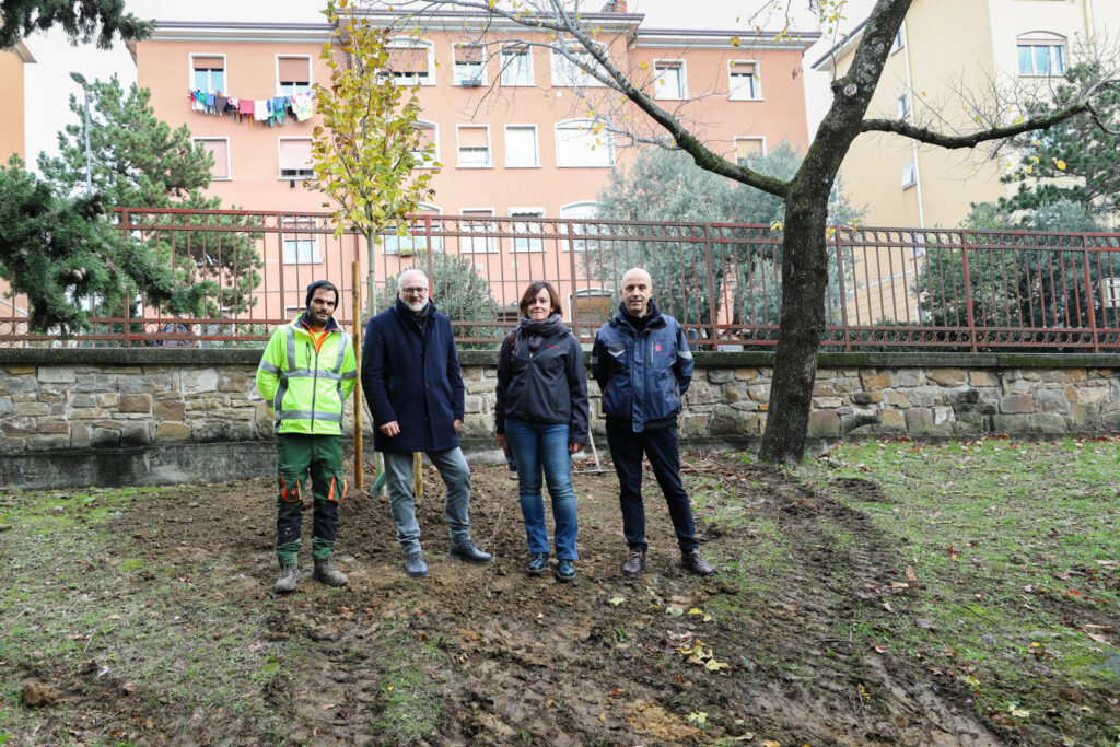 TS 21/11/2025 OGGI, 21 NOVEMBRE “GIORNATA NAZIONALE DEGLI ALBERI”: IL COMUNE DI TRIESTE METTE A DIMORA DUE NUOVI ALBERI PER CIASCUNA DELLE SETTE CIRCOSCRIZIONI, DEDICATI SIMBOLICAMENTE AI NUOVI NATI E ALLE NUOVE NATE DEL 2025