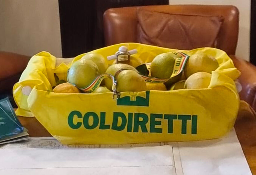 Campagna agrumicola in corso diverse storture di mercato: Coldiretti Reggio Calabria chiede alla Camera di Commercio un incontro con gli operatori della filiera agrumicola