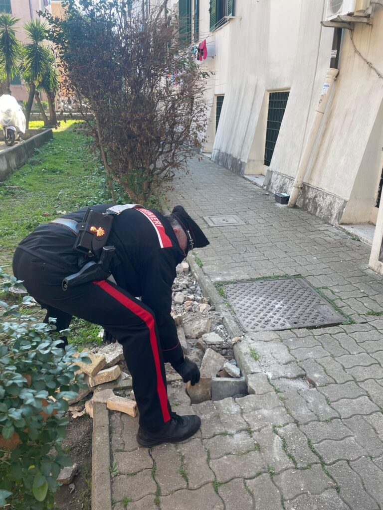 ROMA – CONTROLLO STRAORDINARIO DEI CARABINIERI NEI QUARTIERI OSTERIA DEL CURATO E STATUARIO. 5 PERSONE DENUNCIATE, TRA CUI UNA CHE, DOPO AVER CASUSATO UN INCIDENTE E SCAPPATA SENZA PRESTARE SOCCORSO.