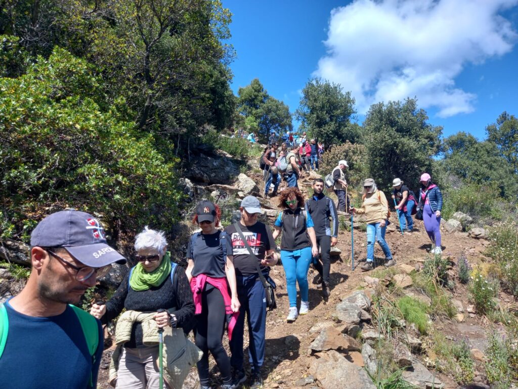 FORESTE APERTE NEL PARCO DI TEPILORA. SABATO 15 NOVEMBRE A LODÈ ULTIMA TAPPA DEL 2025: TREKKING MOZZAFIATO, STORIA E TRADIZIONE, ARTIGIANATO E AGROALIMENTARE