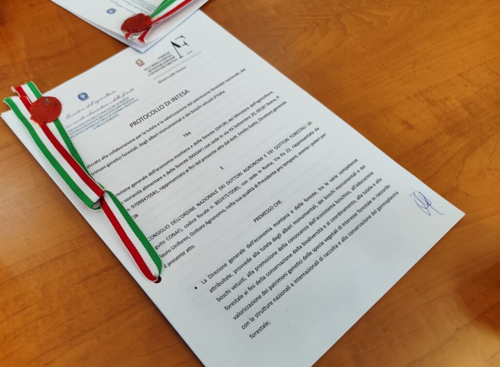 DIFOR E CONAF: ALLEATI PER LA TUTELA DEL PATRIMONIO FORESTALE NAZIONALE