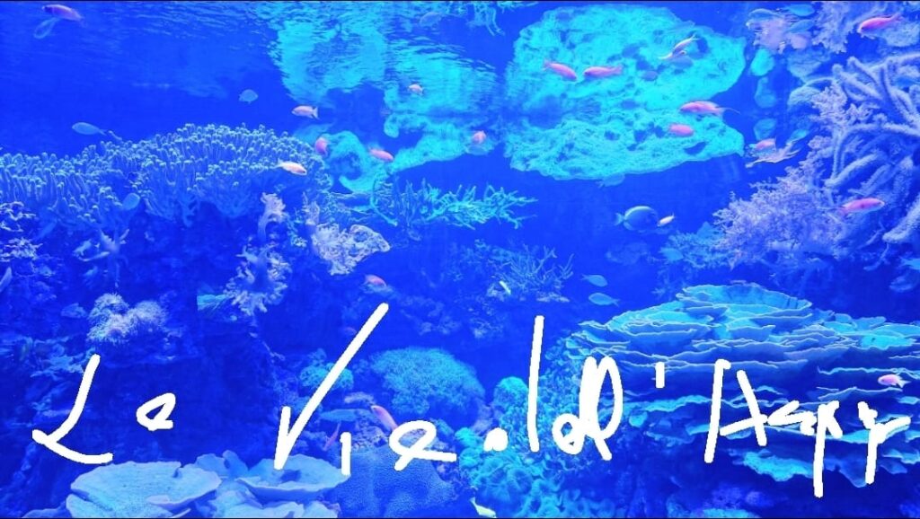 Le vie dell’acqua. Spoleto protagonista dello Speciale Tg1 del 16 novembre