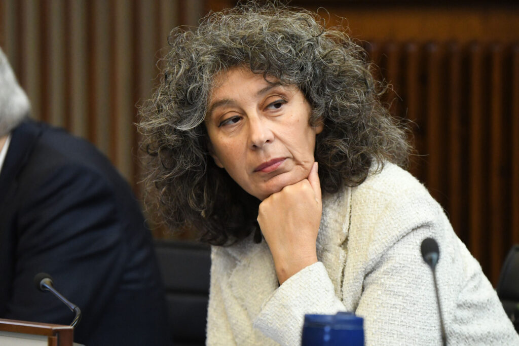 (ACON) TAGLIAMENTO. PELLEGRINO (AVS): BENE NUOVE IPOTESI MESSA IN SICUREZZA