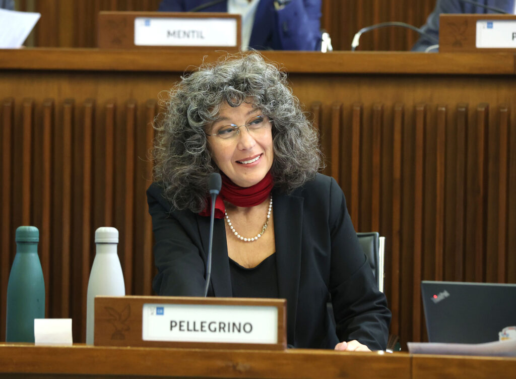 (ACON) DIRITTI UMANI. PELLEGRINO (AVS): AMNESTY D RAGIONE A DI LENARDO