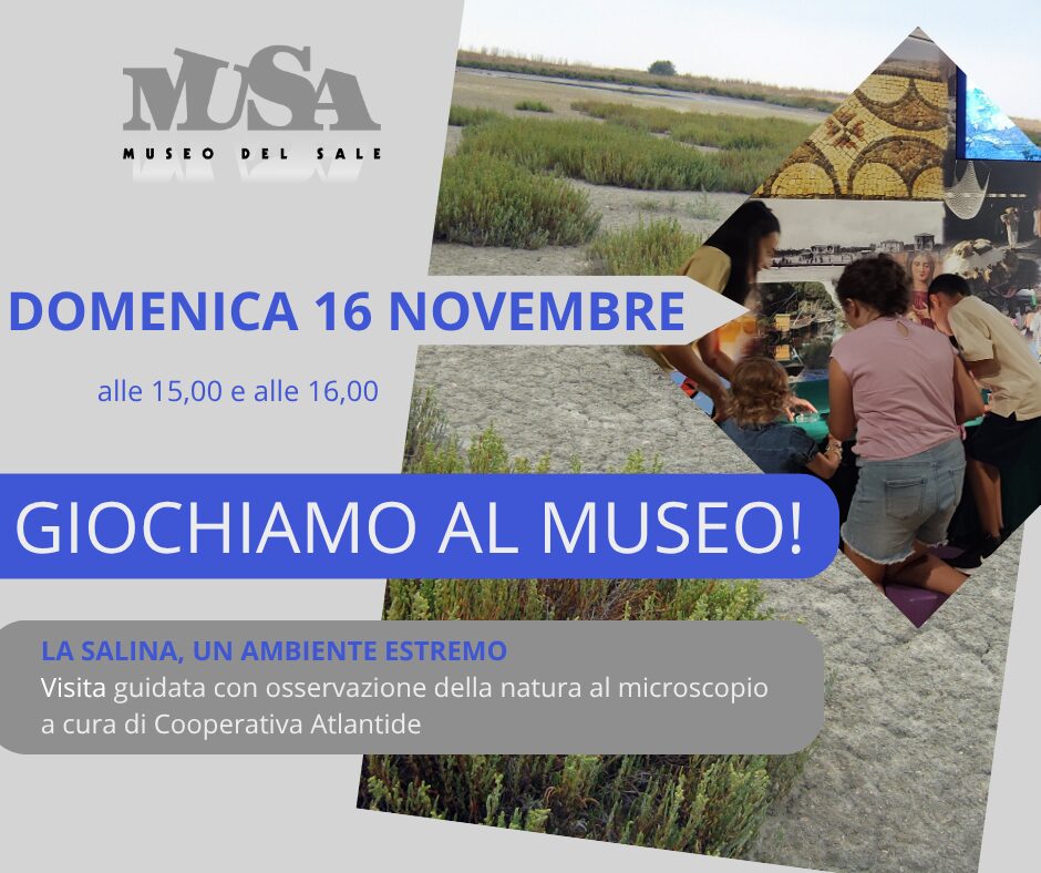 Comunicato stampa: Musa giochiamo al museo 16 novembre.