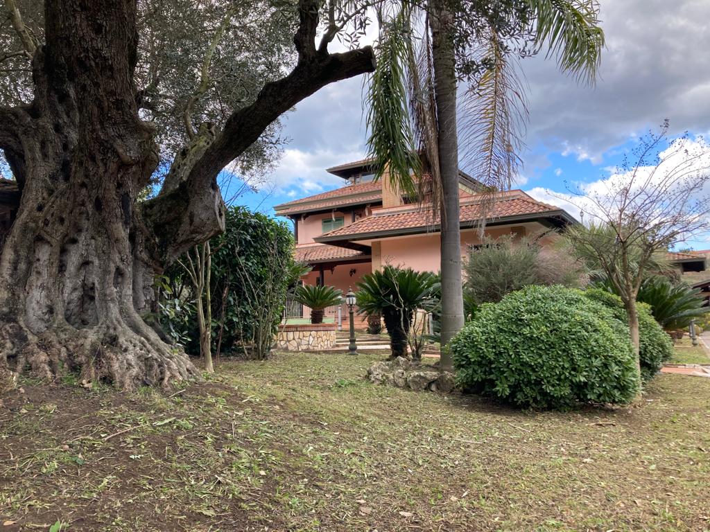 Beni confiscati, al via la seconda edizione di “Casa Mehari in festa: dai beni confiscati ai beni in comune”.il primo appuntamento – giovedì alle ore 18,30 – è la presentazione del libro “Niente è perduto. Maria Sofia Wittelsbach, la regina senza regno” di Nadia Verdile