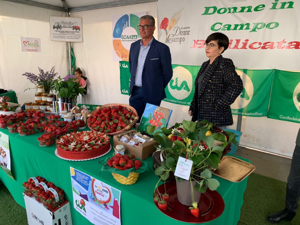 Cia: Oltre l’Igp per una fragola sostenibile dal punto di vista produttivo, sociale ed economico con l’innovazione varietale quale prerequisito.