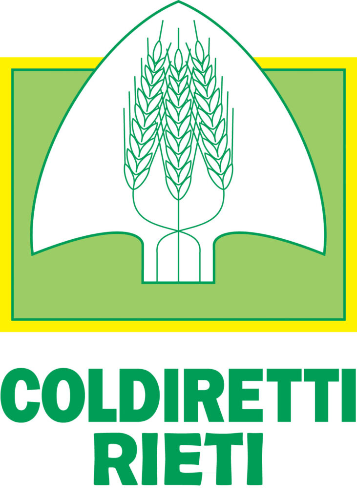 OLIO, COLDIRETTI RIETI: PRODUZIONE GIÙ DEL 40%, MA QUALITÀ OTTIMA