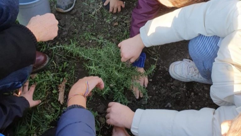 Gli studenti di Castiglione della Pescaia si preparano alla Festa dell’Albero