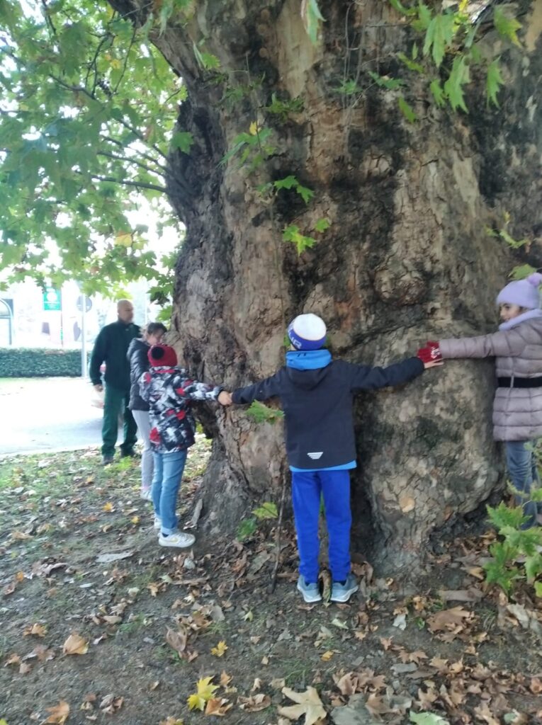 Trek delle quattro esse