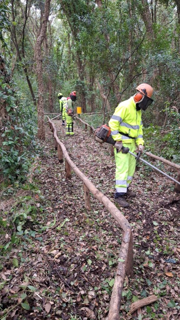 Sughereta di Villa Claudia: avviata la riqualificazione ambientale