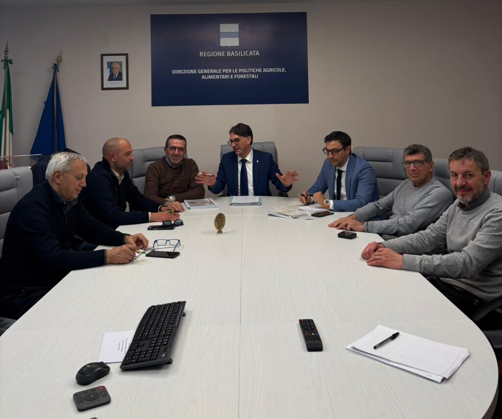 Cicala: proposta Programma Forestale Regionale 2025–2044