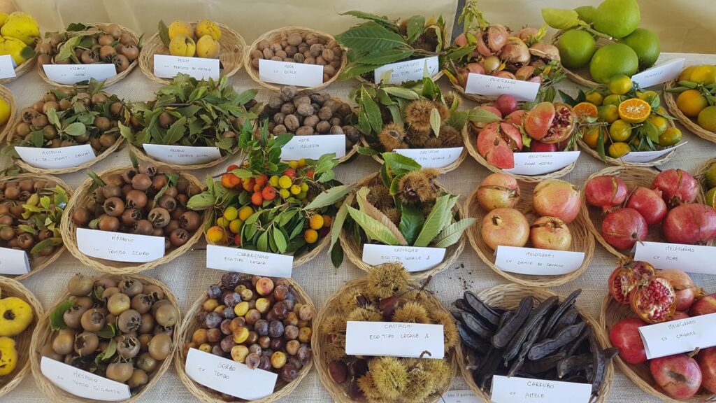 Sicolo: “Patrimonio Unesco merito degli agricoltori: ora rilanciamo l’agricoltura italiana”. Grande contributo della Puglia