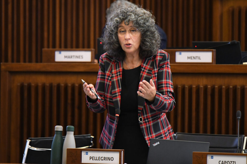 (ACON) BILANCIO. PELLEGRINO (AVS): OK A ODG SU TUTELA COMUNIT REGIONALE