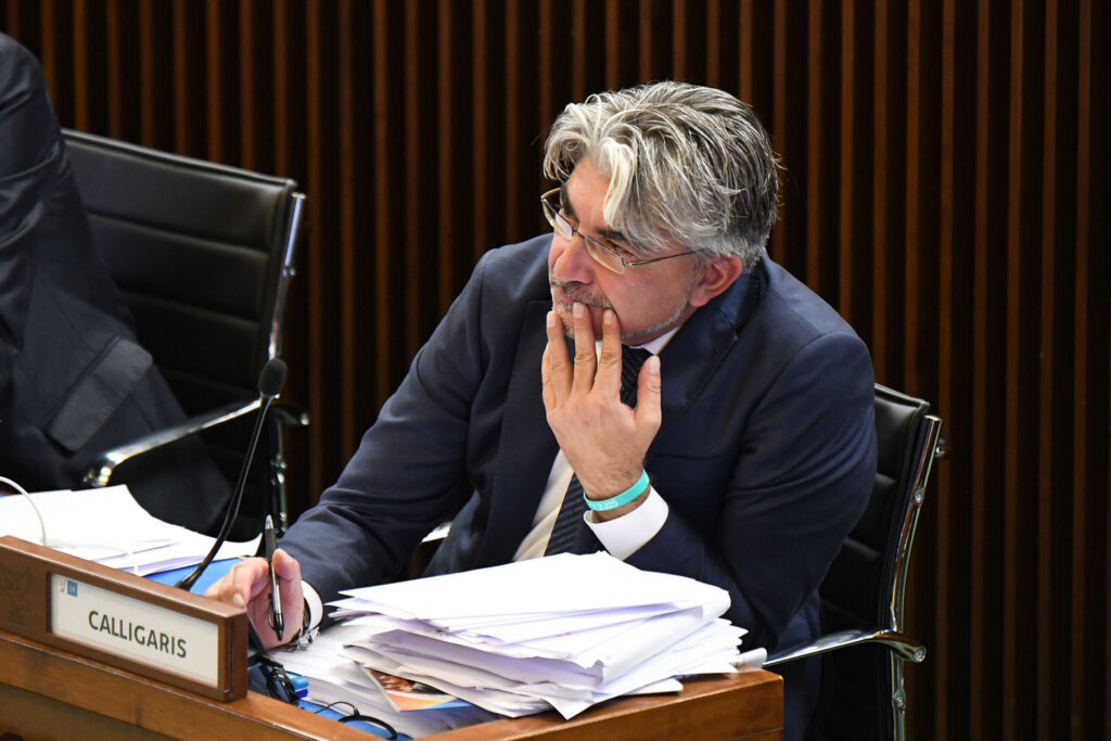 (ACON) CULTURA. CALLIGARIS (LEGA): NUOVO SVILUPPO PER CONSORZIO MONFALCONESE