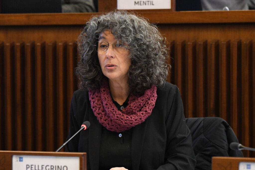 (ACON) AMBIENTE. PELLEGRINO (AVS): A BIBIONE SPECULAZIONE TRAVESTITA DA GREEN