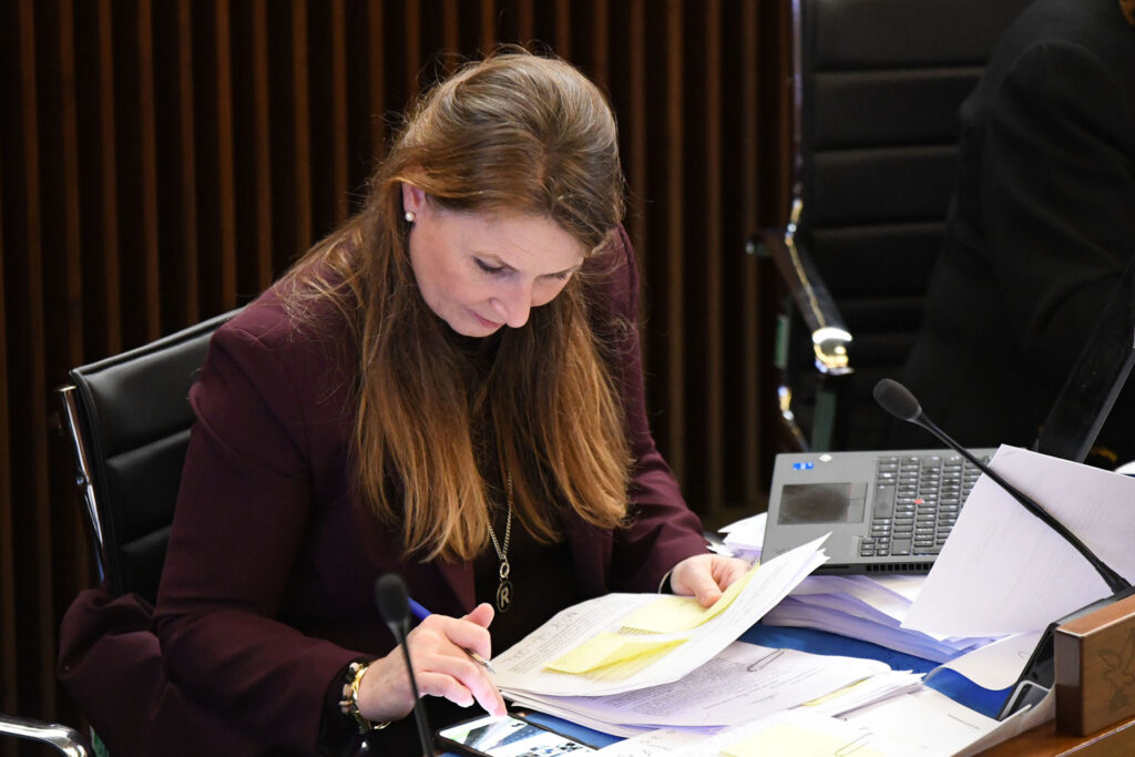 (ACON) BILANCIO. CAPOZZI (M5S): MISURE SPOT NON SONO RISPOSTA A DENATALIT