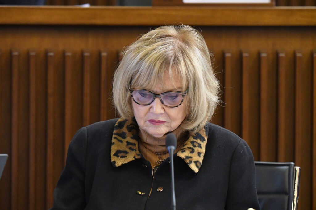 (ACON) BILANCIO. FASIOLO (PD): PER LE FAMIGLIE SERVONO POLITICHE STRUTTURALI