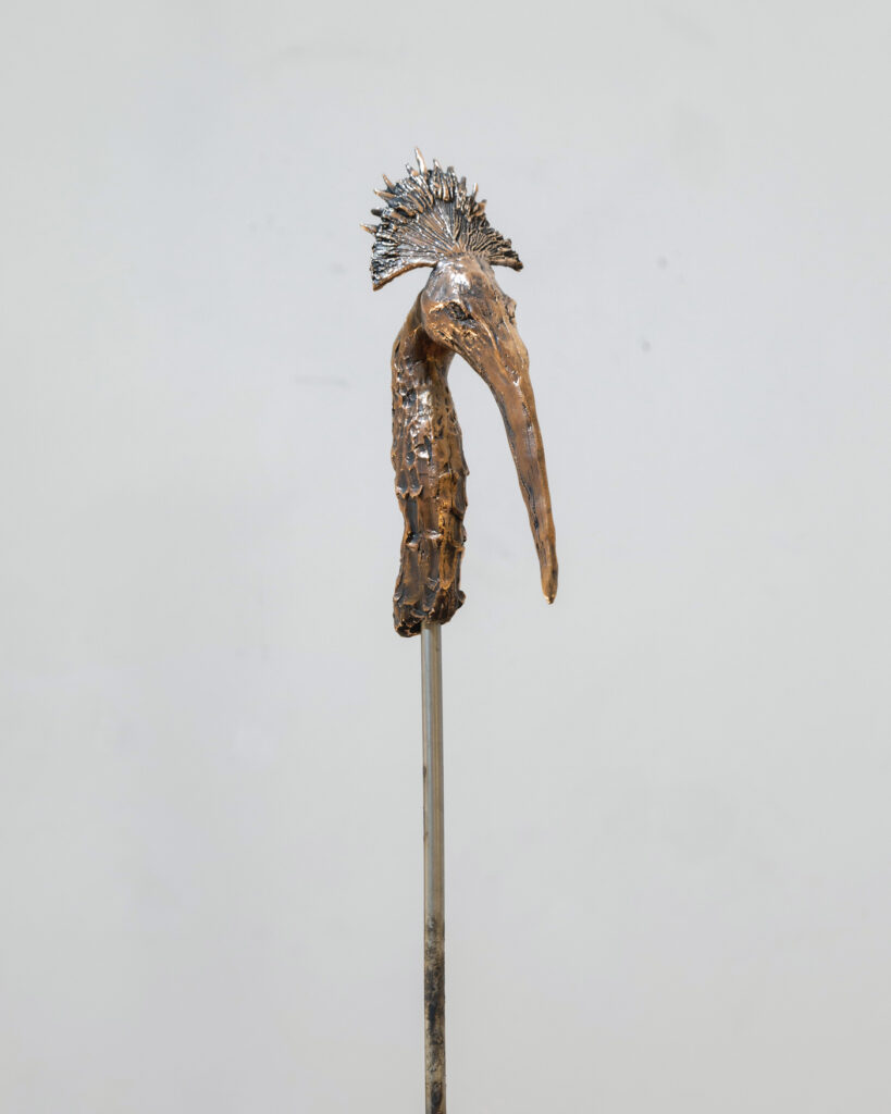 Mausoleo dei cuori infranti: installazione artistica al Museo delle Scienze e del Territorio