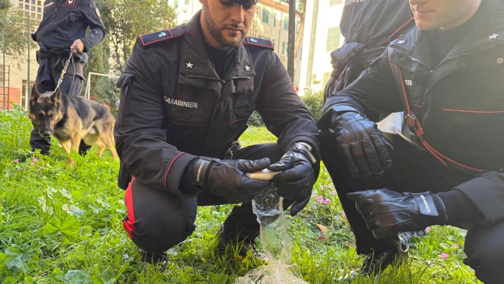 #CONTIENE FOTO# ARRESTI PER DROGA NELLA CAPITALE – I CARABINIERI, COORDINATI DALLA PROCURA DELLA REPUBBLICA DI ROMA, HANNO ARRESTATO ALTRE 10 PERSONE, GRAVEMENTE INDIZIATE DI DETENZIONE E SPACCIO DI SOSTANZE STUPEFACENTI.