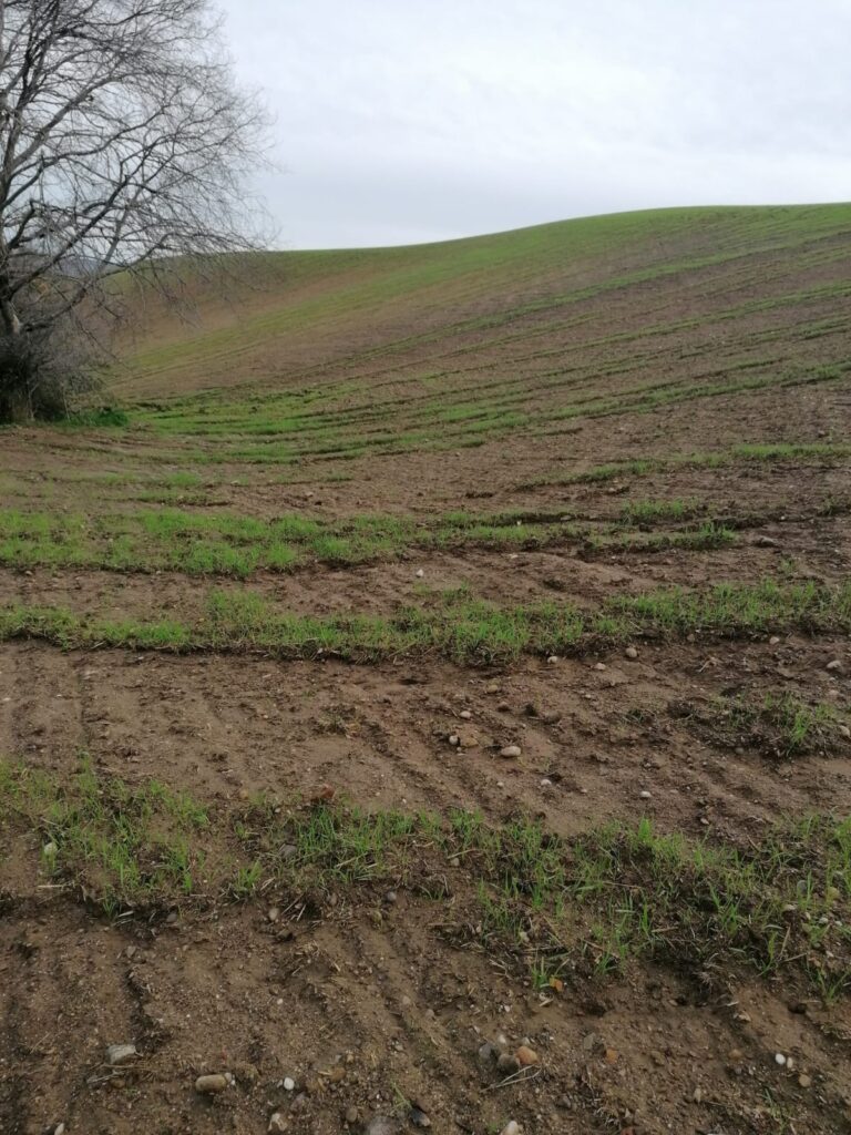 Cia: riconoscimento dello stato di calamità degli areali colpiti dalle piogge torrenziali e fenomeni alluvionali in provincia di Matera