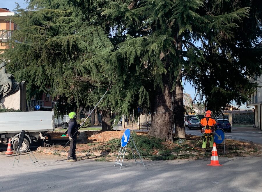 Interventi di potatura in città