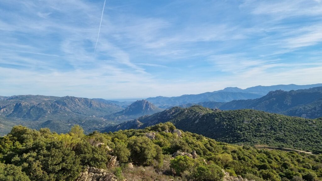 STRATEGIE DI ADATTAMENTO AI CAMBIAMENTI CLIMATICI. AL VIA NELLA RISERVA DELLA BIOSFERA DI TEPILORA, RIO POSADA, MONTALBO IL PROGETTO UE “PATHWAYS2RESILIENCE”