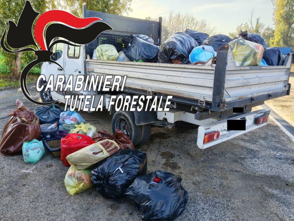 Comunicato stampa del 30.01.2026 del CC Forestale