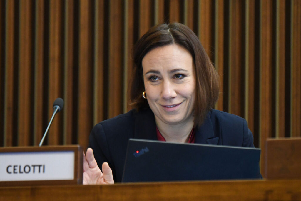 (ACON) GARANTE. CELOTTI (PD): NORMA POSITIVA CHE PU MIGLIORARE