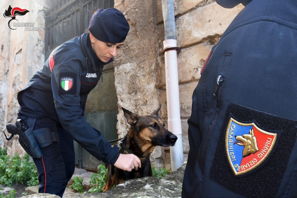 DROGA, MUNIZIONI E UN’ARMA CLANDESTINA: UN ARRESTO A CAPACI