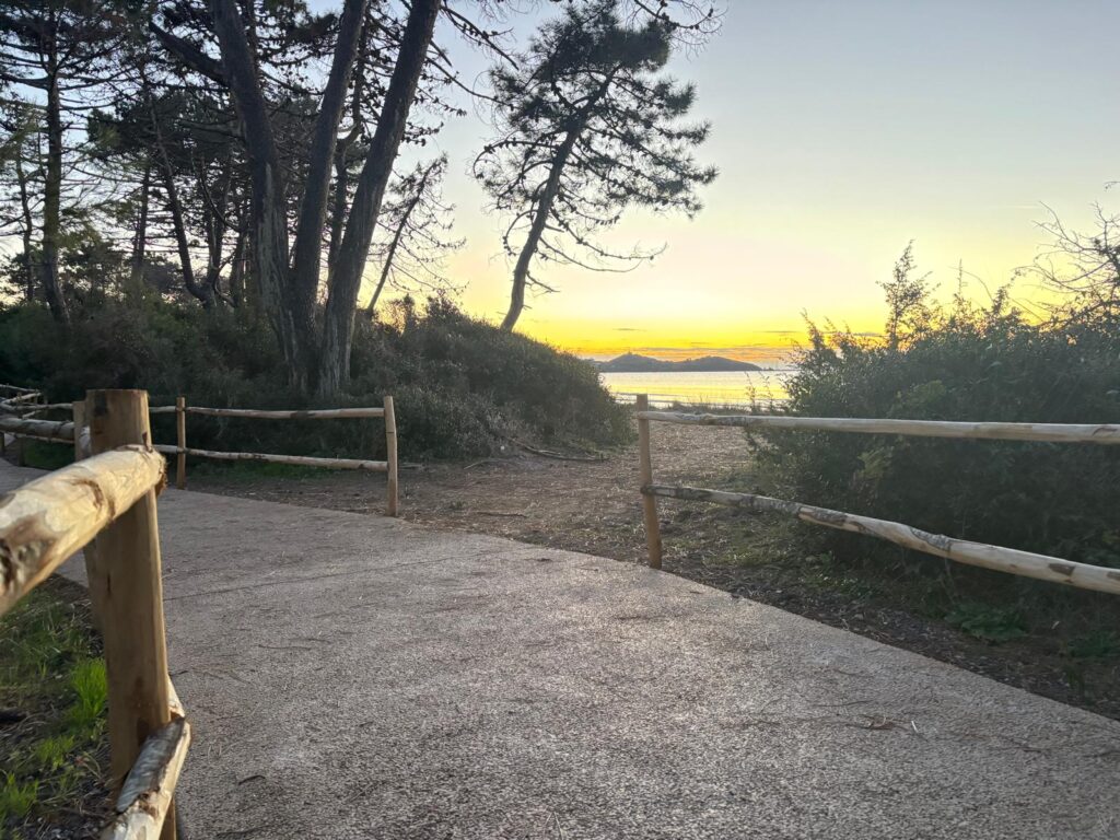 Ciclovia Tirrenica: avanzano a pieno ritmo i lavori sul tracciato nel comune di Castiglione della Pescaia