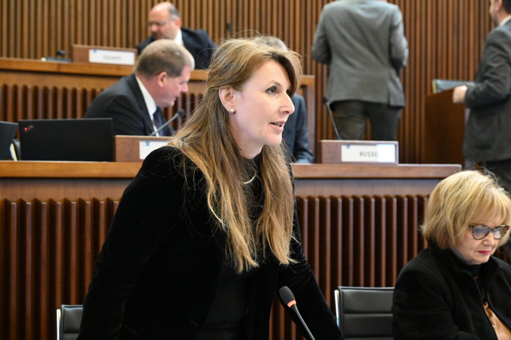 (ACON) LOGISTICA. DA DISCUSSIONE GENERALE PUNTI CRITICI E DI FORZA DEL DLL 71