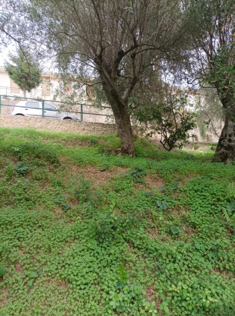 ++ RPT Frane, al via i lavori consolidamento del centro abitato di Sinagra nel Messinese ++