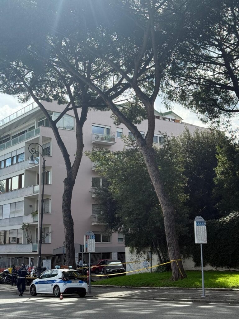 Roma, Carpano (FI): “Altro pino in bilico, Gualtieri insegue l’emergenza”